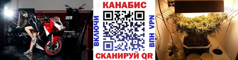 магазин продажи наркотиков  Любим  Шишки марихуана планчик 